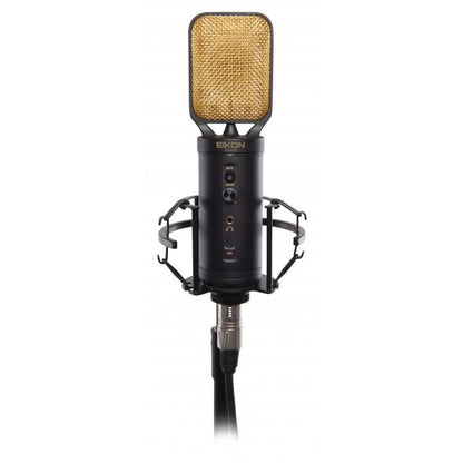 Eikon Studio Box Three EKSBTWO Advanced Home Recording Bundle