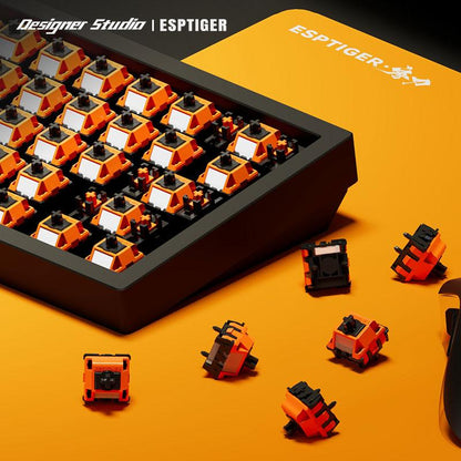 Designer Studio FOCUS (Hall Effect / Magnetic)