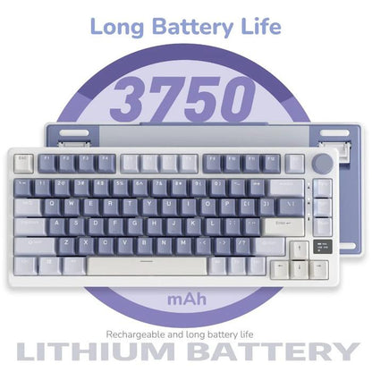 Royal Kludge RK-M75 / RKM75 Hotswap Gasket Wireless 75% Mechanical Keyboard